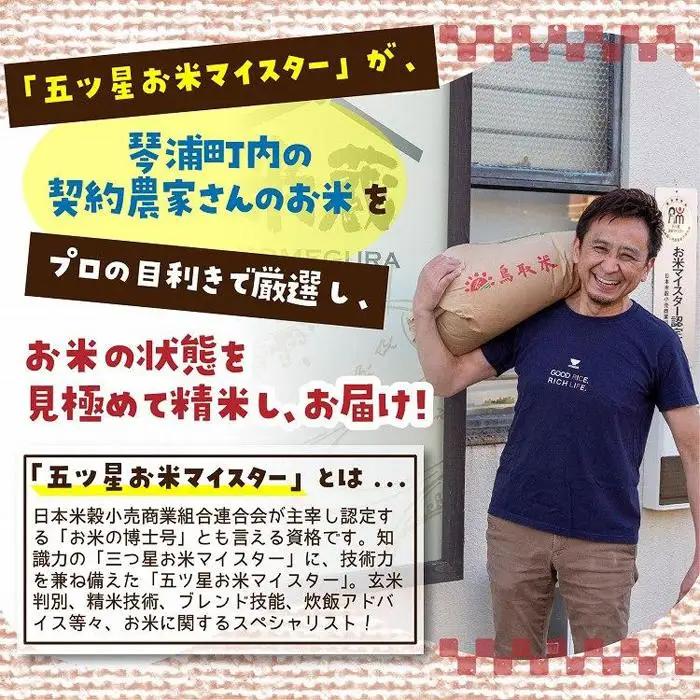 定期便 3kg×12ヶ月　五ツ星お米マイスター特選米（鳥取県産） 米