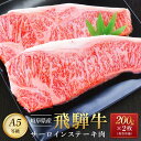 【ふるさと納税】飛騨牛 A5 サーロイン ステーキ用 400g（200g×2枚）｜国産 肉 牛肉 焼肉 ステーキ 和牛 黒毛和牛 グルメ A5等級 おすすめ AD107【飛騨牛 和牛ブランド 飛騨牛 黒毛和牛 飛騨牛 岐阜 大野町 飛騨牛】