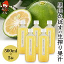 【ふるさと納税】【数量限定】里山かぼすの生搾り果汁 500ml×5本 カボス 柑橘 かぼす果汁100％ 調味料 お酢 果実酢 すだち 大分県産 九州産 中津市 国産 送料無料 バレンタイン バレンタインデー ホワイトデー ギフト お返し プレゼント