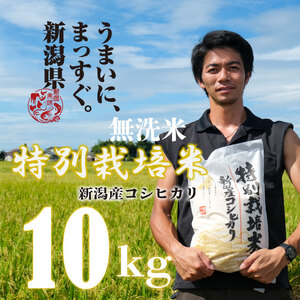 【令和6年産】 新米 無洗米 コシヒカリ 10kg 5kg 2袋 新潟産 特別栽培米 こしひかり 斗伸 新潟県 コメ お米 米 こめ しんまい 新潟米 新潟 新発田  toushin011