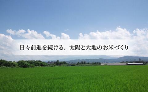 【太陽と大地】八重原産特別栽培米（減農薬・減化学肥料栽培）コシヒカリ（白米）２kgと信州味噌「八重原味噌」５００ｇのセット