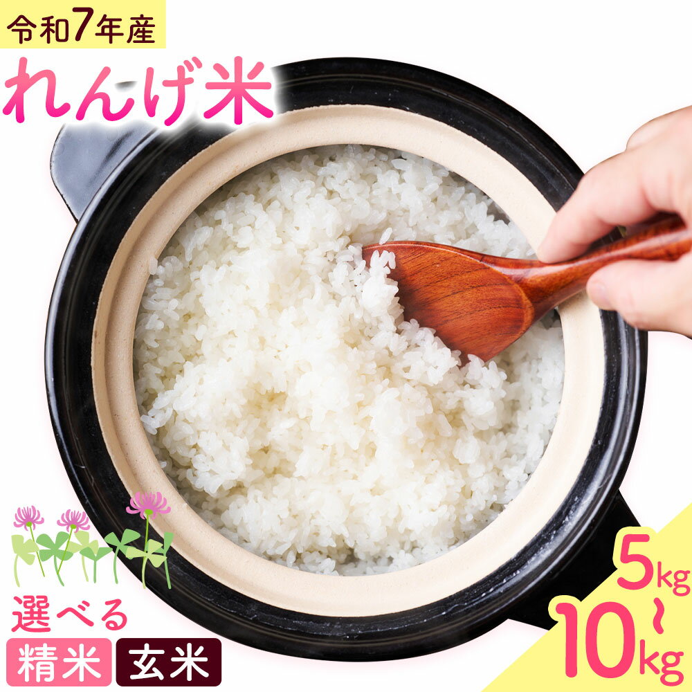 【ふるさと納税】熊本県菊池市産のれんげ米 5kg 《30日以内に出荷予定(土日祝除く)》選べる 精米方法 お米 白米 玄米 精米 レンゲ米 熊本県産 九州産 送料無料