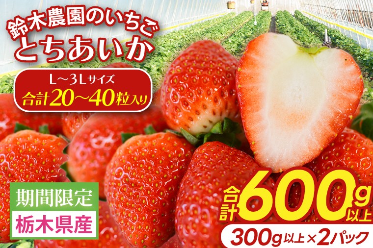 
                  【合計20～40粒入り】いちご とちあいか 600g以上 (300g以上×2パック)｜栃木県 益子町 ふるさと納税 鈴木農園 L 2L 3L ご家庭用 家族用 食べやすい 一口サイズ 粒たっぷり 大満足 いちご イチゴ 苺 果物 フルーツ とちあいか 人気 600g以上 1パックあたり10～20粒入り （DJ003）
                