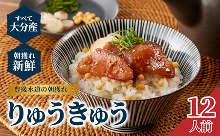 豊後水道の朝獲れ　りゅうきゅう　【12人前】 E22030