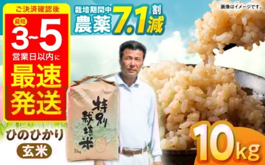 【先行予約】【R7年新米】九州のこだわり「ひのひかり」玄米10kg / 米 おこめ お米 こめ 玄米 げんまい ひのひかり ヒノヒカリ 長崎県産 / 諫早市 / 上島農産  [AHAS004] 新米 しんまい