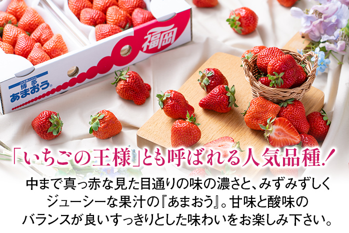 【冬】あまおう 約500g いちご 苺 果物 フルーツ 冷蔵 送料無料 ※北海道・沖縄・離島は配送不可 大木町産 南国フルーツ CO001