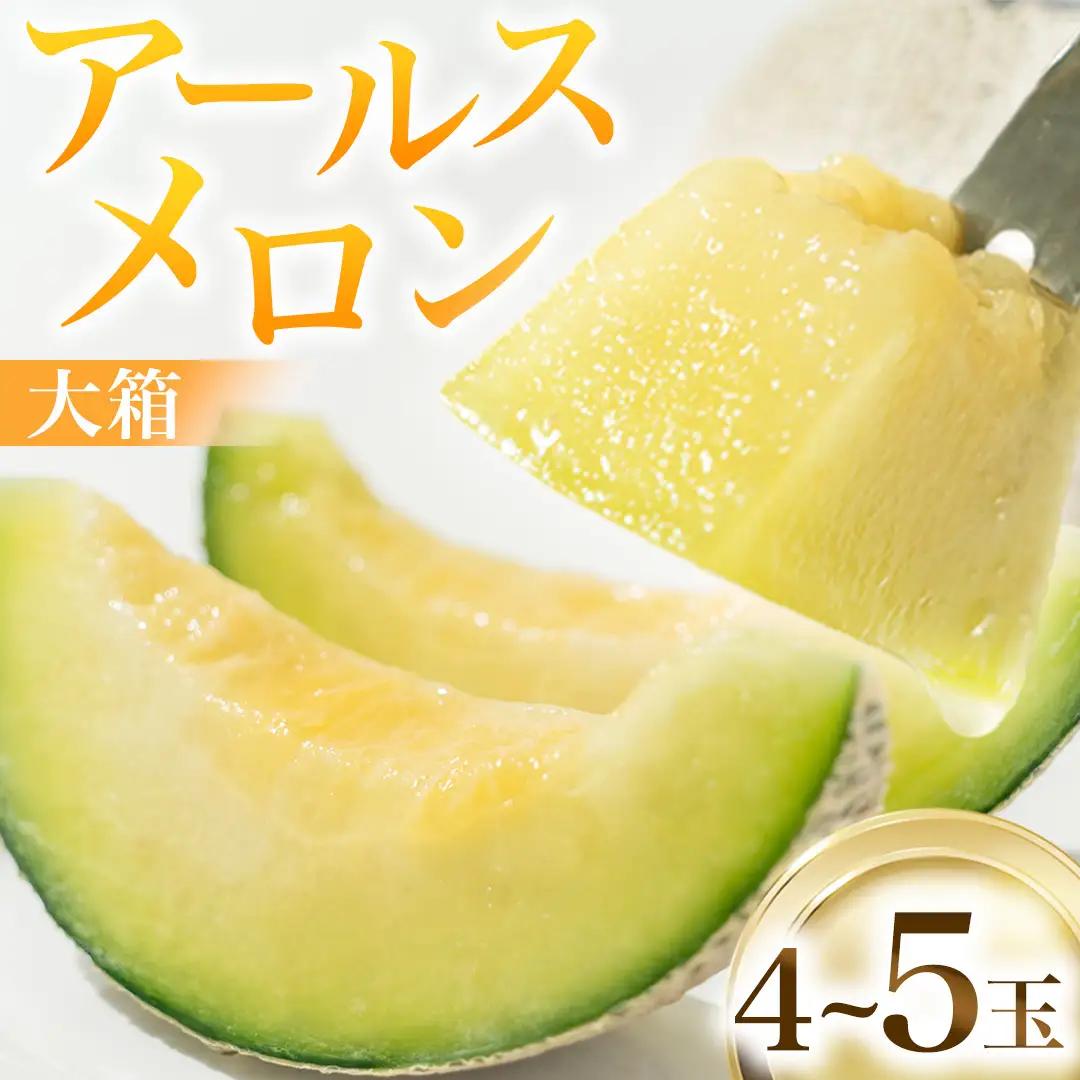 アールスメロン 4〜5玉 果物 フルーツ 青肉メロン マスクメロン メロン [BC046sa]