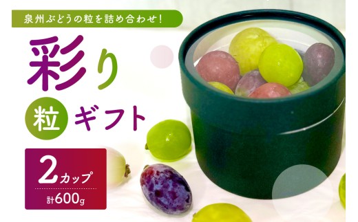 ＜お中元対応可＞泉州ぶどう【彩り粒ギフト】色とりどりのぶどうのギフト ー彩珠ー【065D-022】