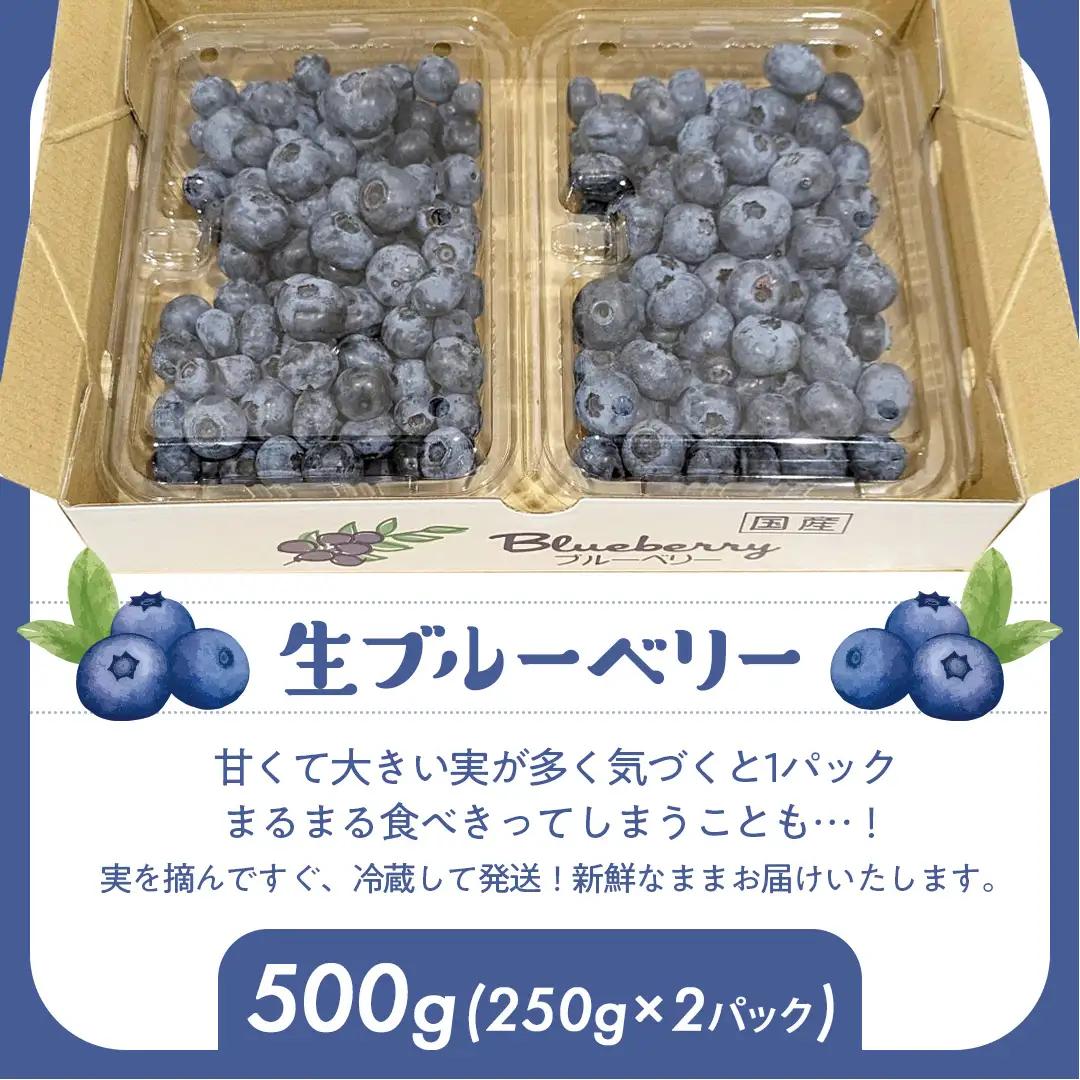 茨城県産 生 ブルーベリー 合計 500g (250g×2P) 多品種 果実 果物 くだもの フルーツ おやつ ブルーベリー ベリー ジャム 小分け[DZ001sa]