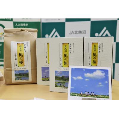 ふるさと納税 魚沼市 令和7年産　魚沼 「奥の極」 入広瀬の米 (うまし故郷 入広瀬)精米 計2.9kg