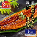 【ふるさと納税】 国産のうなぎ蒲焼き5尾【最短3日発送】国産のブランド鰻を茨城県土浦市の職人が手間を惜しまず一つ一つ丁寧に作り上げた美味しい蒲焼きをぜひご賞味ください！土用の丑の日に！※離島への配送不可