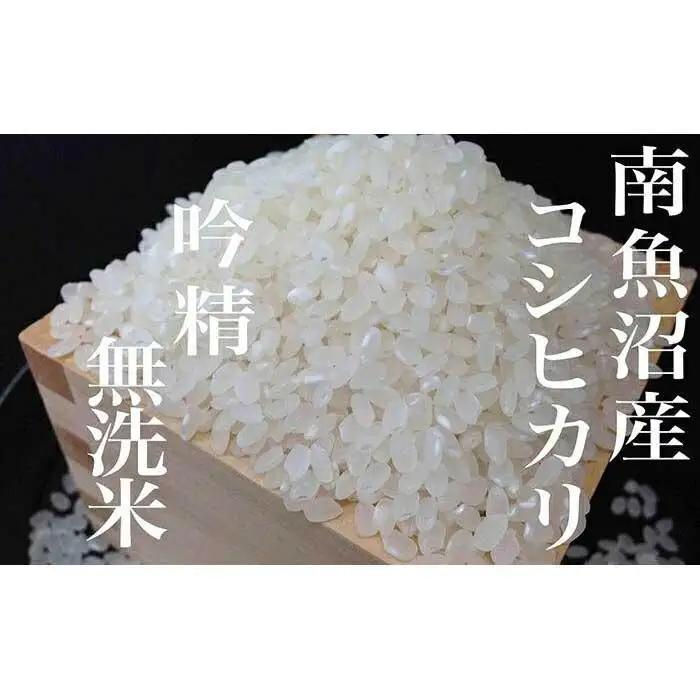 【令和7年産】【頒布会4Kg×全12回】無洗米 吟精 南魚沼産コシヒカリ【定期便 銘柄米 ブランド米 無洗米 こしひかり コシヒカリ 魚沼産 新潟米 産地直送 お米 米 こめ コメ ご飯 御飯 ごはん
