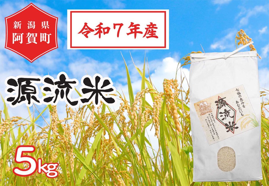 
                  米 5kg 新潟県阿賀町産 コシヒカリ「源流米」 令和7年産 精米 白米 5キロ 新潟県産コシヒカリ 新潟県産こしひかり 新潟県産 コシヒカリ こしひかり ごはん ご飯 新潟県 阿賀町
                