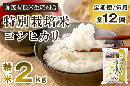 【定期便12ヶ月毎月お届け】【2024年先行予約】【令和6年産新米】新潟県加茂市産 特別栽培米コシヒカリ 精米2kg 白米 従来品種コシヒカリ 加茂有機米生産組合 定期便 定期購入 定期 コシヒカリ 