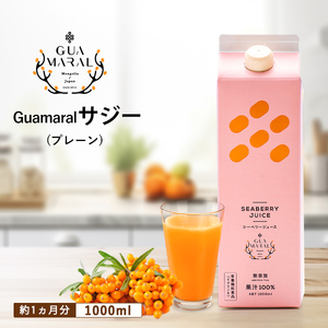  サジージュース 100% 1000ml×1本 サジー シーベリー 沙棘 グアマラル 健康ドリンク 健康 美容 栄養 果汁 鉄分補給 栄養補給 健康食品_DX02