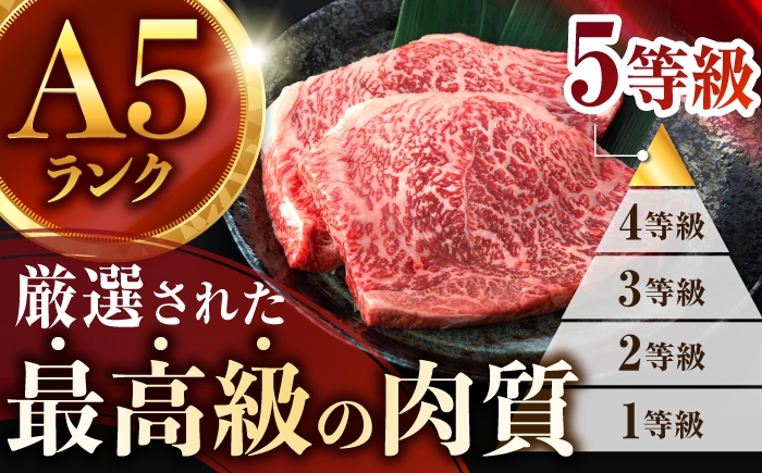 サーロイン リブロース イチボ  ランプ ヒレ シャトーブリアン 希少部位 A5 肉 牛肉 ステーキ 焼肉 和牛 赤身ステーキ