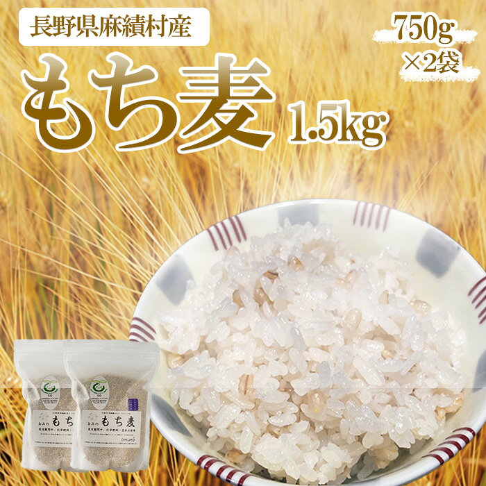 【ふるさと納税】 もち麦 1.5kg 750g ×2セット 長野県産 ホワイトファイバー 栽培期間中 化学肥料 農薬不使用 おいしく 健康的 キレイの素 信州の環境にやさしい農産物 プレミアムライセンス ベストファーマー 信州匠選 信州産 選べる 1.5kg 1500g 750g