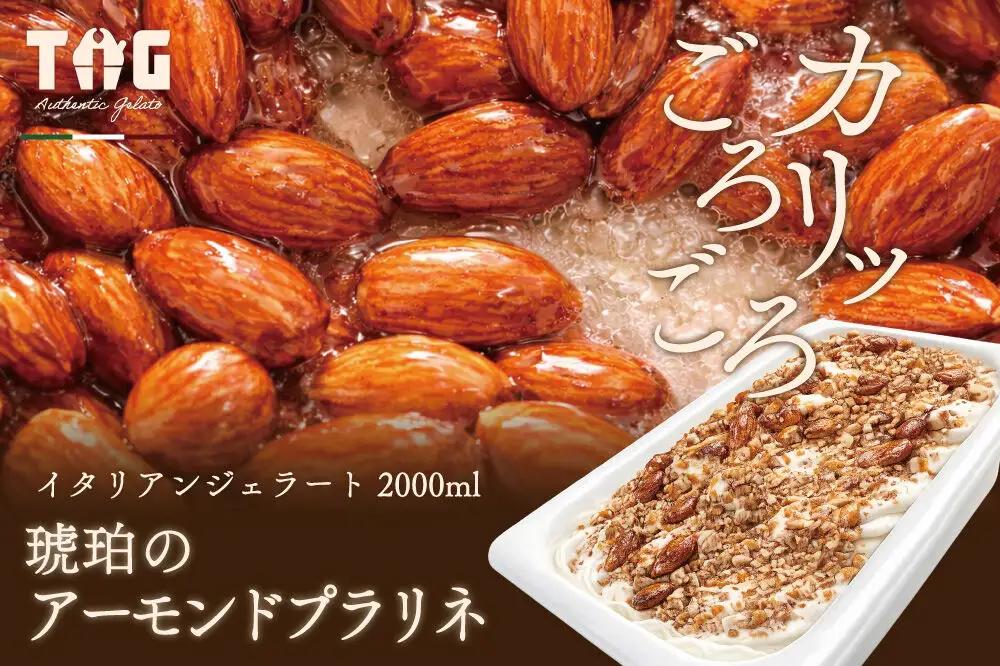 ジェラート ジェラテリア TiG（ティグ）イタリアンジェラート 琥珀のアーモンドプラリネ 2000ml (2L) 大容量 無着色 無香料 秋田 美郷町