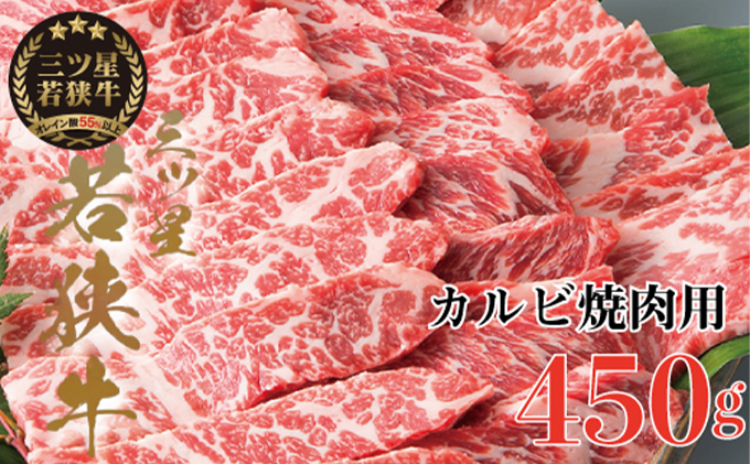 【祝北陸新幹線延伸】三ツ星若狭牛 カルビ焼肉用450g［高島屋選定品］