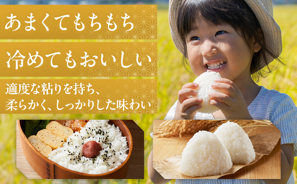 【令和7年産　頒布会】雪温精法　佐渡産こしひかり5kg×12回