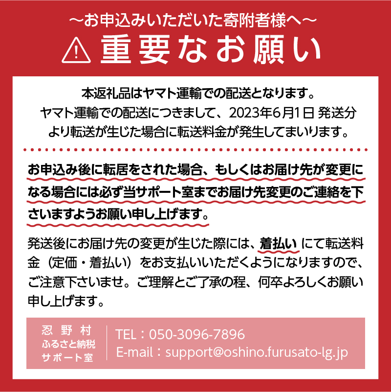 【12ヶ月定期便】富士山蒼天の水 500ml×48本（2ケース）ラベルレス