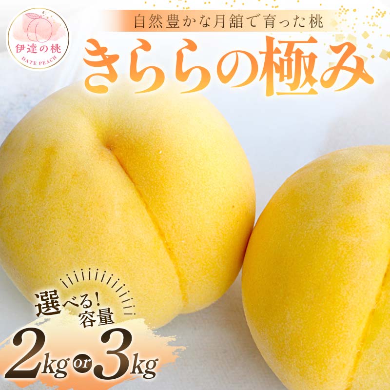 【ふるさと納税】≪2025年出荷分≫ 先行予約 自然豊かな月舘で育った桃 きららの極み 《容量がお選び頂けます》 約2kg or 約3kg 桃 もも モモ 果物 くだもの フルーツ 名産品 国産 食品 F21C-058var