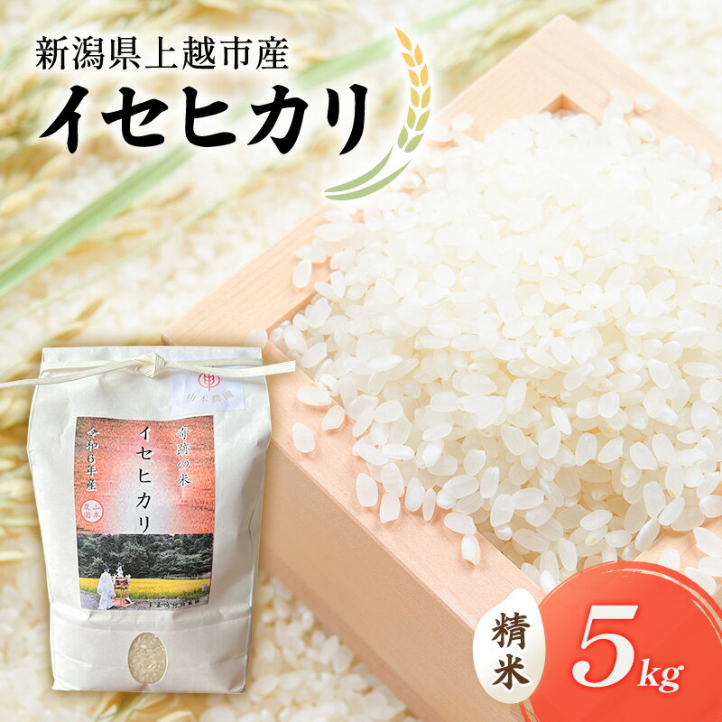 【ふるさと納税】【先行予約　10月中旬より順次出荷】令和7年度産　新潟県上越市産　奇跡のお米　イセヒカリ　5kg 米 お米 いせひかり ご飯 精米 新潟 上越　お届け：2025年10月15日～12月31日まで