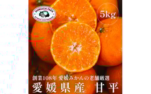 創業百八年 愛媛みかんの老舗＜甘平5kg(約15個～30個)＞家庭用＜新口農園＞＜F70-58＞【1554061】