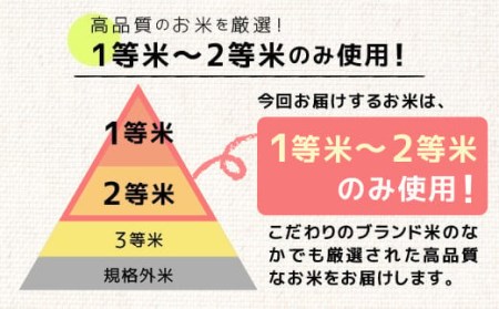 ★令和5年産★数量限定★熊本を代表するブランド米15ｋｇ（森のくまさん5kg×3袋）決済確定月の翌月20日前後から順次発送開始予定【価格改定ZA】