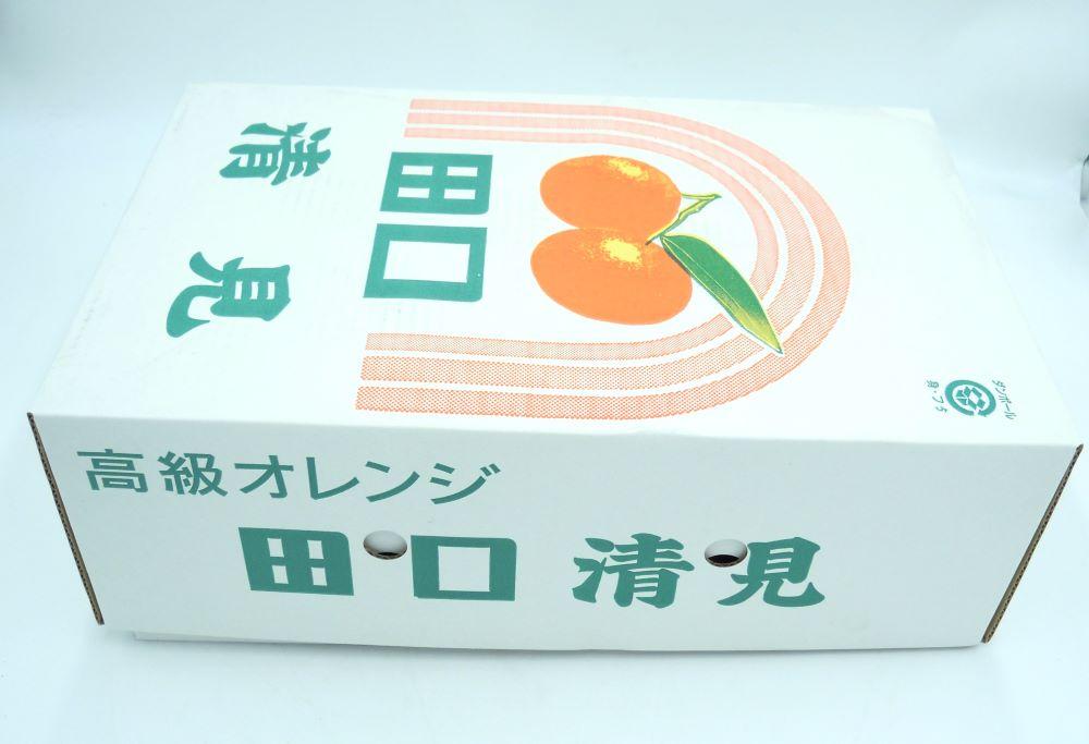 田口の清見オレンジ 秀品　5kg　L～３L（30玉～18玉）化粧箱入り サイズおまかせ【2025／2／26～2025／3／31 順次発送】