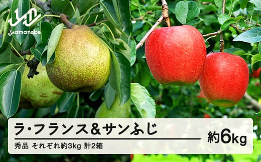 【先行予約】フランス サンふじセット 約6kg 各約3kg(6~12個程度) 各1箱 計2箱 秀品程度 洋梨 りんご 2025年産 山形県産 ※沖縄・離島への配送不可 tf-fslrx3