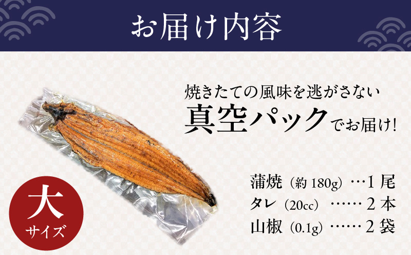 国産うなぎ 大サイズ 180g×1尾【タレ 山椒付き 有頭 炭火 蒲焼 鰻】 099H2332