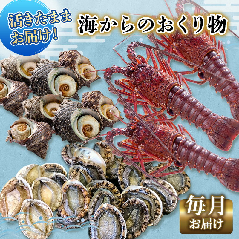 【ふるさと納税】【アワビについて注意事項あり】伊勢海老 アワビ サザエ 定期便 年12回 海からのお届け物 ワカメ ひじき はんばのり 干物 伊勢エビ さざえ あわび わかめ 海苔 天草 煮魚 惣菜 えび 鮑 貝 魚 魚介 魚介類 海鮮