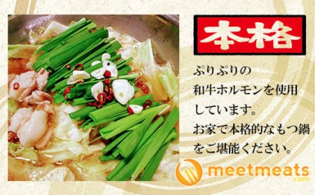 【和牛もつ鍋】 3~4人前 もつ鍋 MTM011