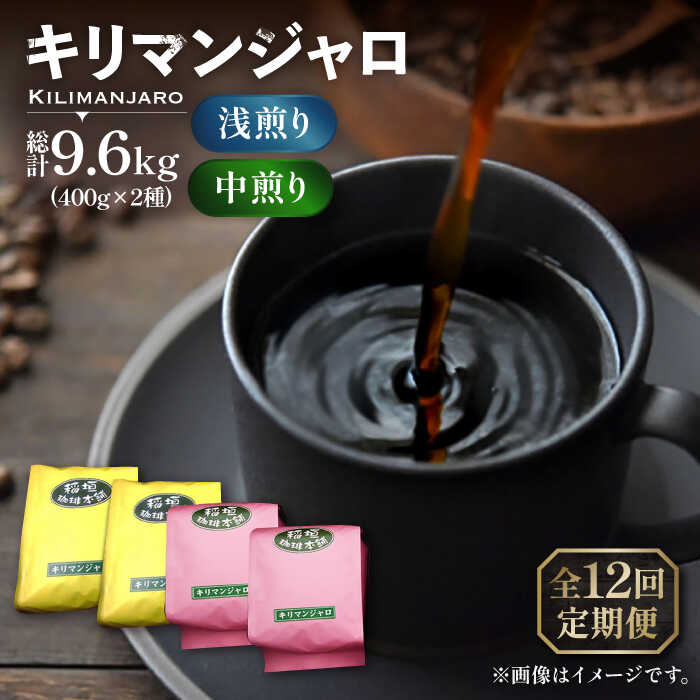【ふるさと納税】【全12回定期便】キリマンジャロ コーヒー 2種 ( 浅煎り フルーツフレーバー ＆ 中煎り チョコレートフレーバー )《豊前市》【稲垣珈琲】[VAS193] 飲み物 ドリンク 珈琲 焙煎 人気 コーヒー 豆 粉 220000 220000円