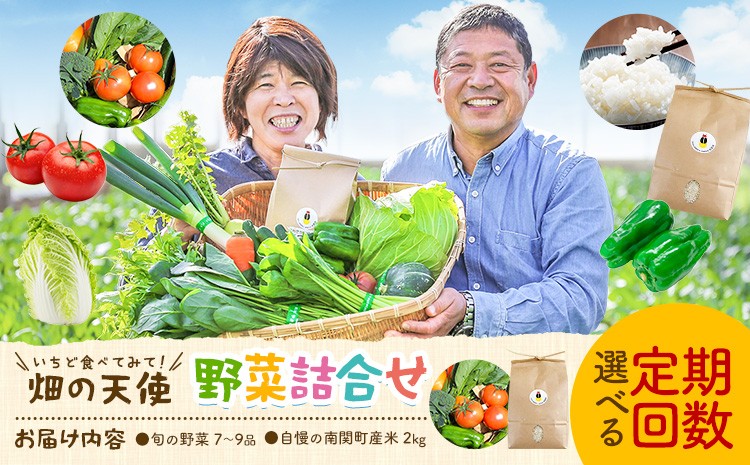 
                  野菜 詰合せ 7～9品 米 2kg 選べる定期回数 定期便 《出荷時期をお選びください》 畑の天使 いちど食べてみて「畑の天使」野菜 米 安全安心 おまかせ 詰め合わせ セット 旬の野菜 ボリューム 季節 生産者 フレッシュ サラダ 熊本県 南関町
                