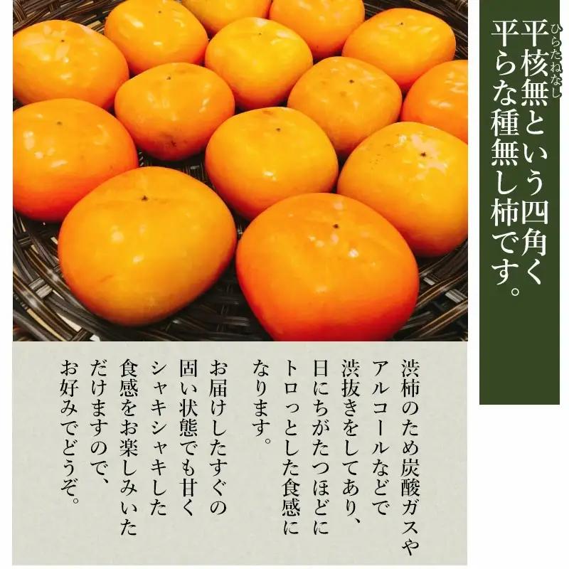 【令和8年産先行予約】 庄内柿 (L～4Lサイズ) 秀品 約5kg (25～31個) 山形県鶴岡市産　株式会社 元青果