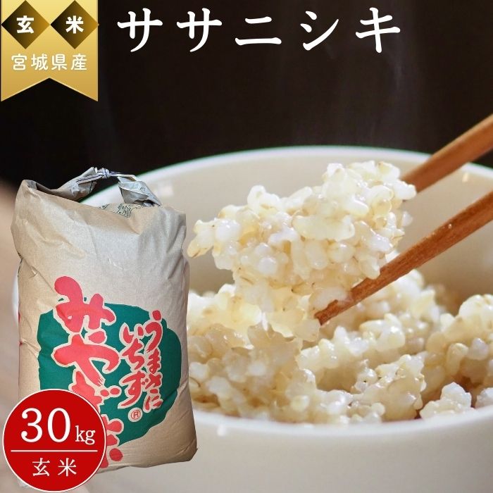 【ふるさと納税】【 令和7年産米】 ササニシキ 玄米 30kg × 1袋 新米 ささにしき 米 ご飯 ごはん おにぎり お弁当 令和7年産 お米 おこめ 宮城県 東松島市 オンラインワンストップ 自治体マイページ パスカファーム立沼 H
