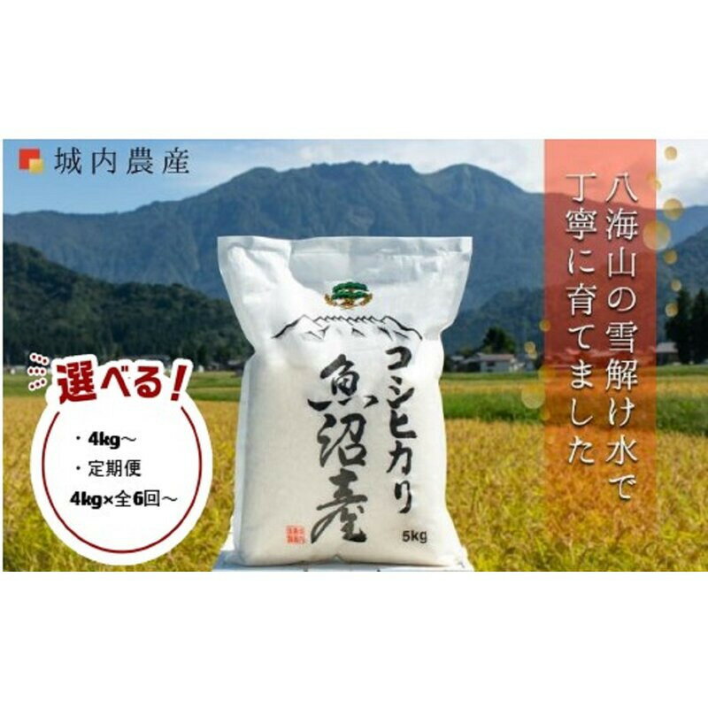 【ふるさと納税】【令和7年産新米予約】南魚沼産コシヒカリ 【5割減農薬栽培米】城内農産　白米4kg～10kg／無洗米4kg～20kg／定期便各種（一部品切れ中）【2025年10月上旬より順次発送予定】 | お米 白米 コシヒカリ 食品 人気 おすすめ 送料無料 南魚沼