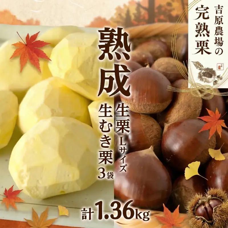 【 吉原農場 の 完熟栗 】 熟成 生栗 1kg Lサイズ ・ 生むき栗 3袋 セット