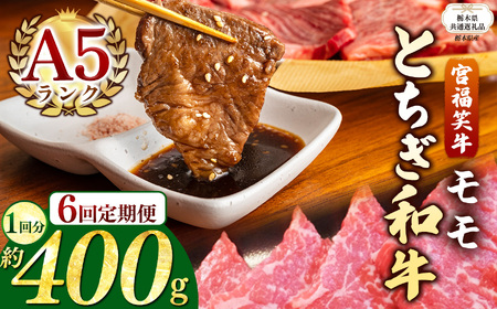 【栃木県共通返礼品】【定期便6回】宮福笑牛(とちぎ和牛) A5 モモ焼き肉 約400g  | 栃木県 下野市