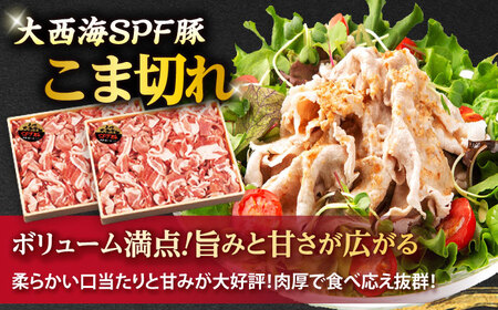 3回定期便 上位人気 西海の宝物定期便 | CZZ023 定期便