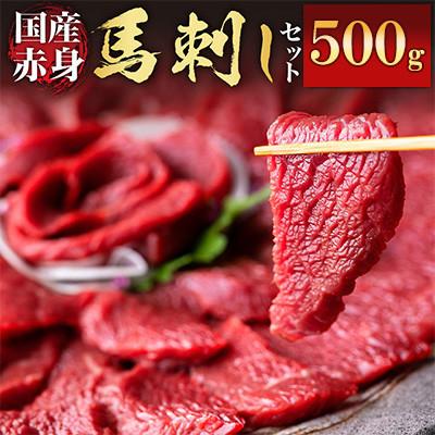 ふるさと納税 合志市 赤身馬刺しセット 合計約500g 50g×10パック(合志市)