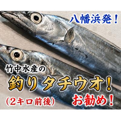 ふるさと納税 八幡浜市 竹中水産の「釣の太刀魚」　約2キロ!【F22-264】