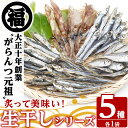 【ふるさと納税】鹿児島県阿久根市産！生干しシリーズ(5種)国産 生干し おつまみ おかず 魚介 魚貝 海産物 干物 ひもの【マルフク川畑水産】a-12-55