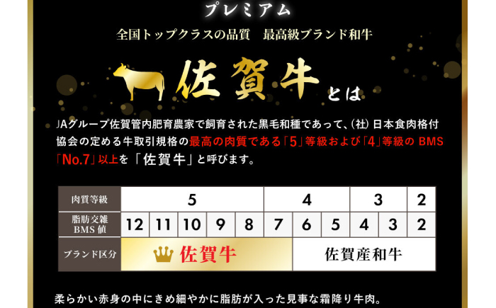 佐賀牛ヒレステーキ 計1kg（約200g×5枚）/ 佐賀県 / 佐嘉ZEYTAKUYA（株式会社丸宗ミート） [41AQAA017]