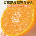 【ふるさと納税】【ご家庭用訳あり】田村みかん　5kg　※2024年11月下旬頃〜2025年1月下旬頃に順次発送（お届け日指定不可）