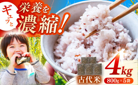 佐賀県産古代米 3色MIX 計4kg（800g×5袋） / 佐賀県 / 旬菜舎さと山 [41AABM009]