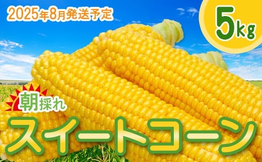 
            スイートコーン15本入(1本350g以上)【2025年8月発送予定】
          