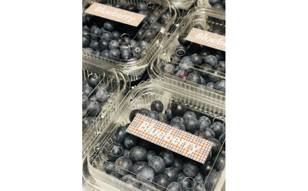 【農薬不使用】 手摘み生ブルーベリー 1kg